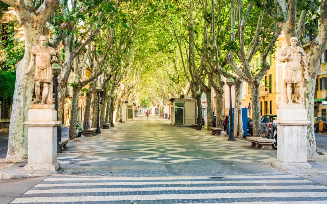 Salas para reuniones de negocios en el centro de Palma de Mallorca