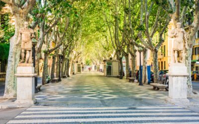 Salas para reuniones de negocios en el centro de Palma de Mallorca